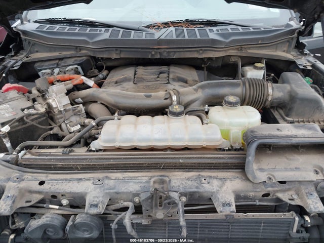 46183706 :رقم المزاد ، 1FTFW1ED8MFB23655 vin ، 2021 Ford F-150 Xlt مزاد بيع