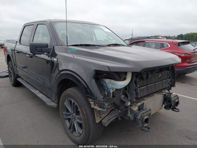 46183706 :رقم المزاد ، 1FTFW1ED8MFB23655 vin ، 2021 Ford F-150 Xlt مزاد بيع