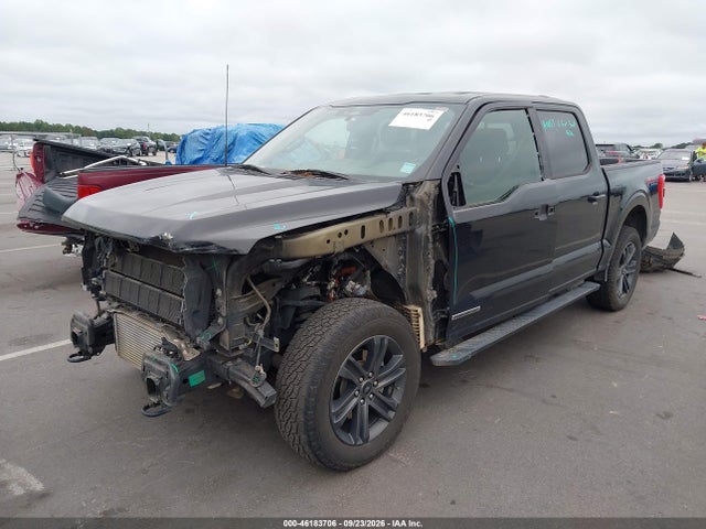 46183706 :رقم المزاد ، 1FTFW1ED8MFB23655 vin ، 2021 Ford F-150 Xlt مزاد بيع