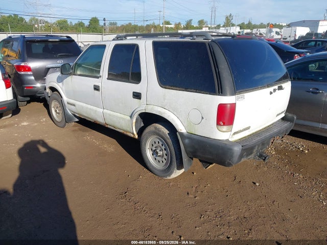 46183985 :رقم المزاد ، 1GNDT13W0T2284342 vin ، 1996 Chevrolet Blazer مزاد بيع