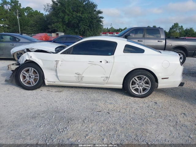 2013 Ford Mustang V6 მანქანა იყიდება აუქციონზე, vin: 1ZVBP8AM4D5245118, აუქციონის ნომერი: 46184021