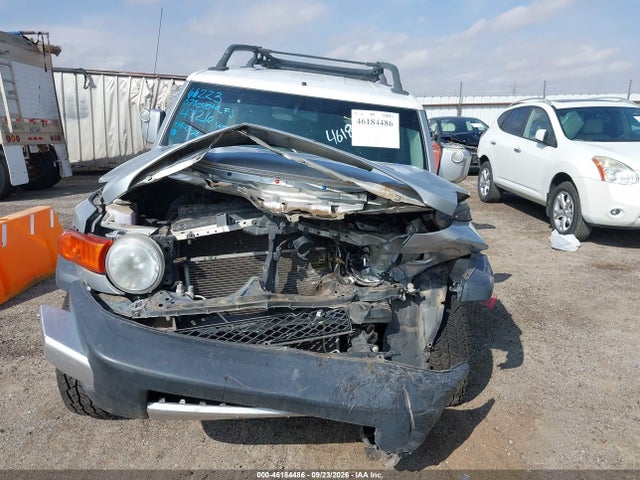 46184486 :رقم المزاد ، JTEBU11F670044726 vin ، 2007 Toyota Fj Cruiser مزاد بيع