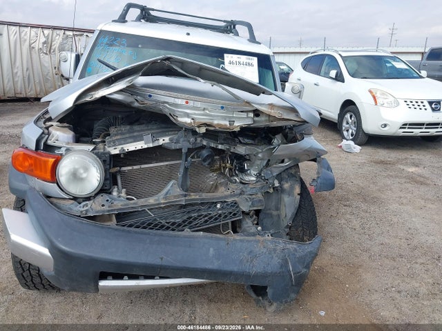 46184486 :رقم المزاد ، JTEBU11F670044726 vin ، 2007 Toyota Fj Cruiser مزاد بيع