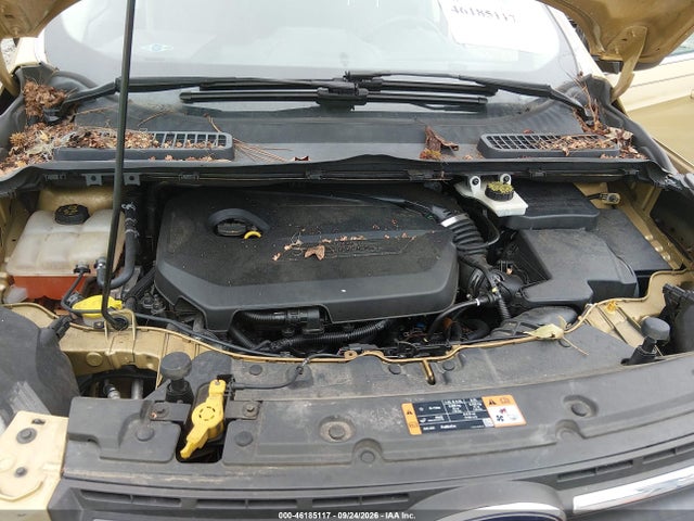 Ford ESCAPE SE 2014 1FMCU0GXXEUC16776 Image 10