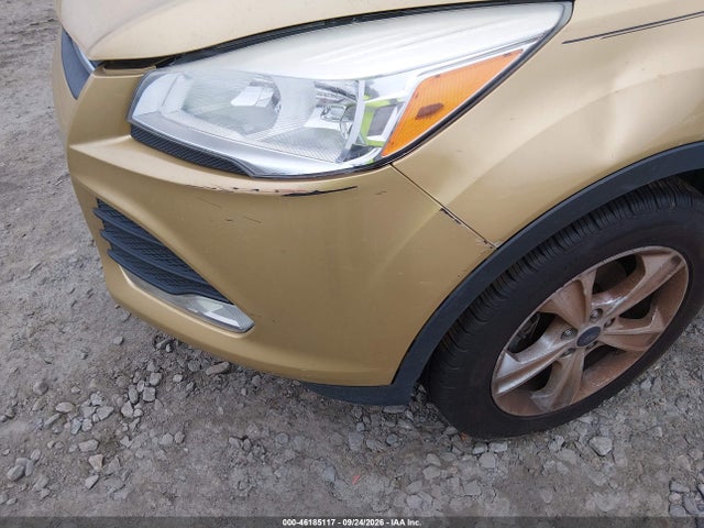 Ford ESCAPE SE 2014 1FMCU0GXXEUC16776 Image 6