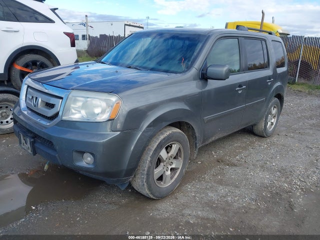 Продаж на аукціоні авто 2009 Honda Pilot Ex-l, vin: 5FNYF48629B011954, номер лоту: 46185139
