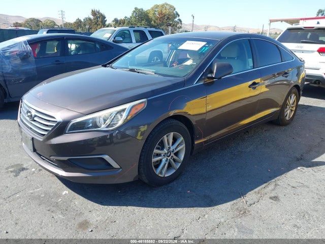 5NPE24AF5HH535186 Hyundai Sonata
