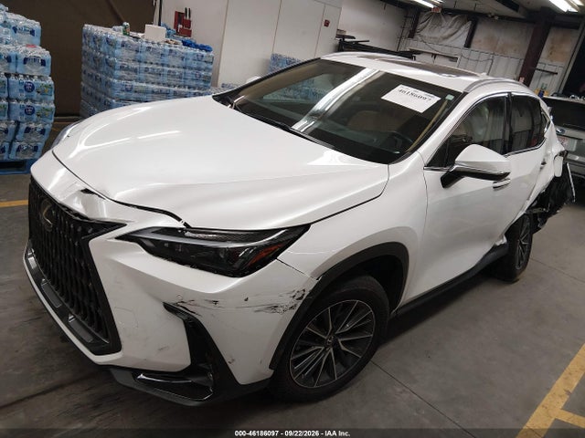 Lexus NX 250 2025 2T2ADCAZ2SC028331 Image 2