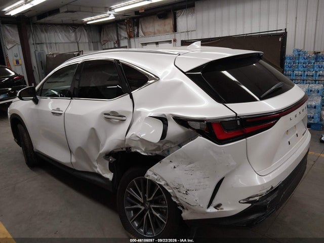 Lexus NX 250 2025 2T2ADCAZ2SC028331 Image 6