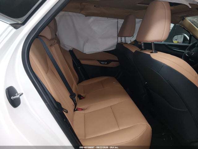 Lexus NX 250 2025 2T2ADCAZ2SC028331 Image 8