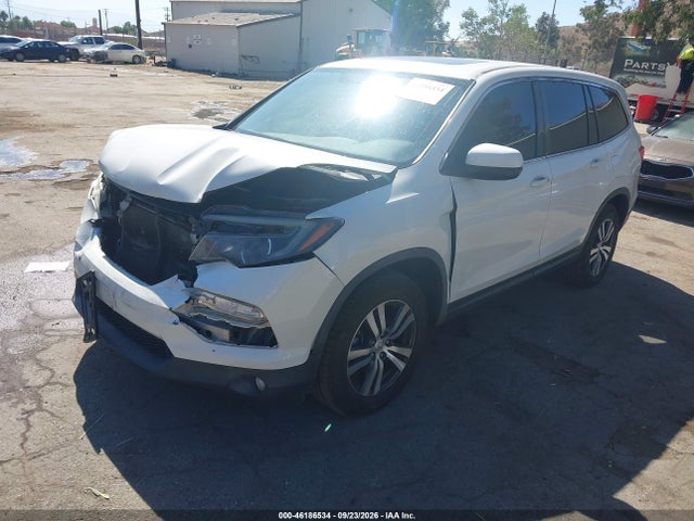 5FNYF6H54JB061648 Honda Pilot Ex-l