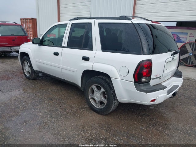 2008 Chevrolet Trailblazer Fleet მანქანა იყიდება აუქციონზე, vin: 1GNDT13S982183546, აუქციონის ნომერი: 46186566