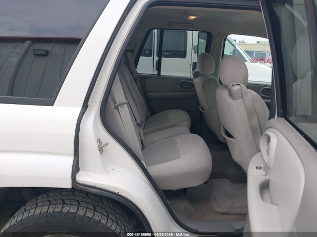 2008 Chevrolet Trailblazer Fleet მანქანა იყიდება აუქციონზე, vin: 1GNDT13S982183546, აუქციონის ნომერი: 46186566