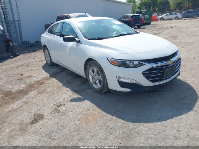 Auction sale of the 2023 Chevrolet Malibu Fwd 1fl, vin: 1G1ZC5ST6PF173928, lot number: 46186854
