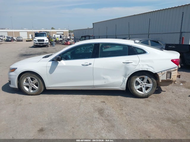 Auction sale of the 2023 Chevrolet Malibu Fwd 1fl, vin: 1G1ZC5ST6PF173928, lot number: 46186854