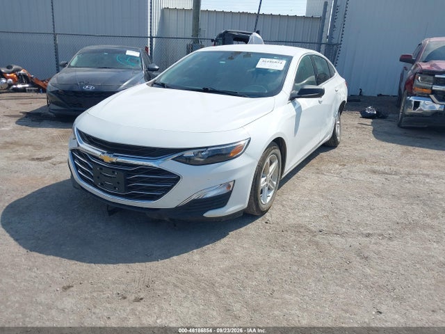 Auction sale of the 2023 Chevrolet Malibu Fwd 1fl, vin: 1G1ZC5ST6PF173928, lot number: 46186854