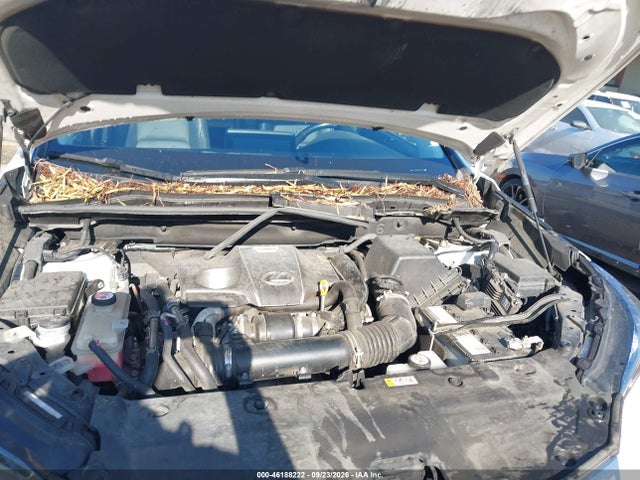 Lexus NX 300 2020 JTJDARBZ1L5012466 Image 10