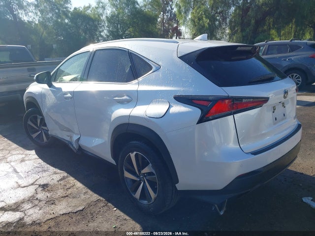 Lexus NX 300 2020 JTJDARBZ1L5012466 Image 3