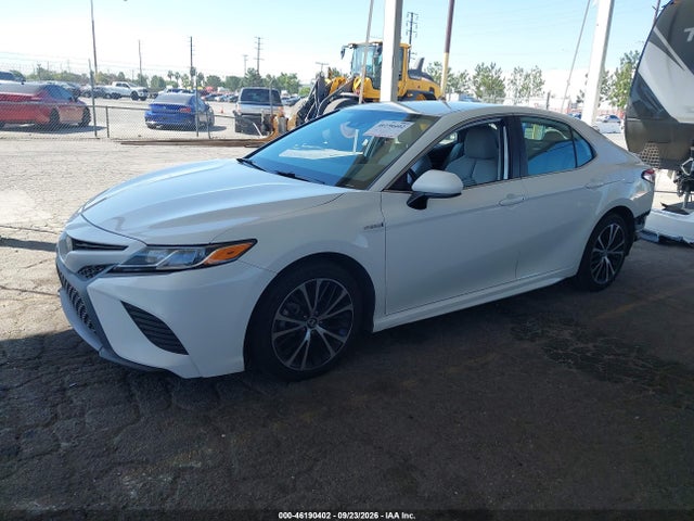4T1G31AK0LU012556 Toyota Camry Se Hybrid