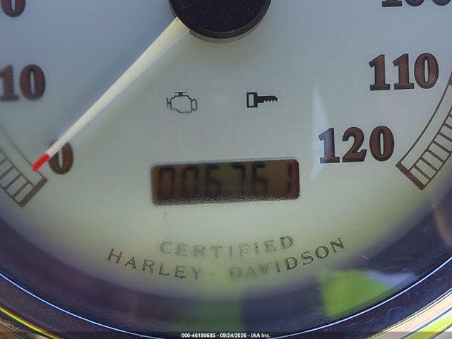 Продаж на аукціоні авто 2002 Harley-davidson Flhrsei, vin: 1HD1PDC192Y952624, номер лоту: 46190685