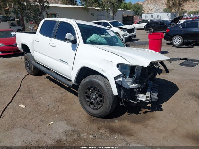 2021 3TMBZ5DN7MM031993 main image