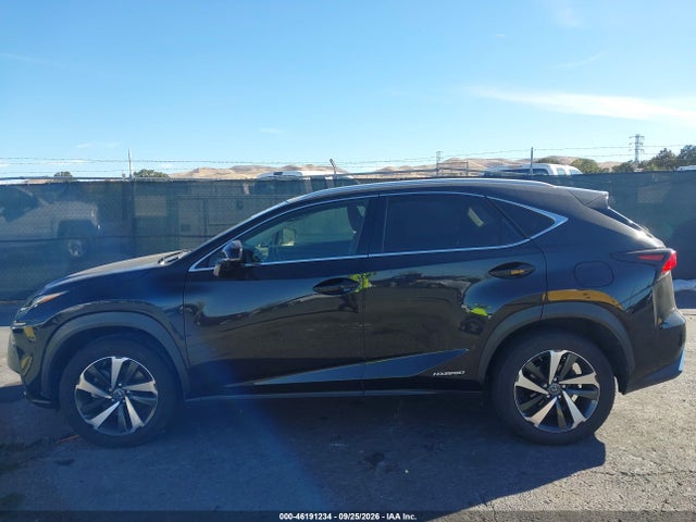Продаж на аукціоні авто 2020 Lexus Nx 300h, vin: JTJGJRDZ0L2140791, номер лоту: 46191234