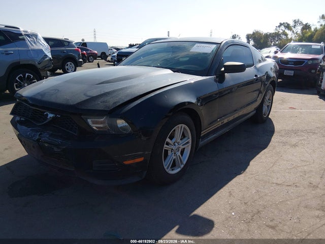 Продажа на аукционе авто 2011 Ford Mustang V6, vin: 1ZVBP8AM9B5156240, номер лота: 46192902