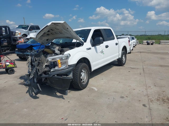 46193723 :رقم المزاد ، 1FTEW1CB0LKD67285 vin ، 2020 Ford F-150 Xl مزاد بيع