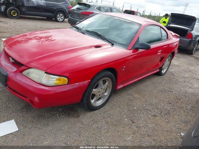 46193810 :رقم المزاد ، 1FALP42D4SF222966 vin ، 1995 Ford Mustang Cobra Svt مزاد بيع