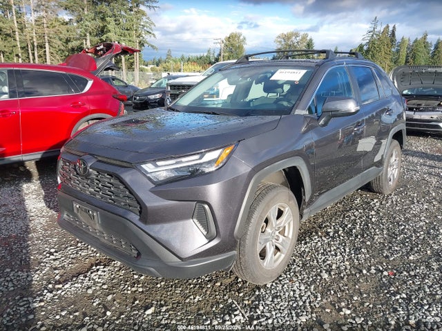 Toyota Rav4 Xle 2023 2T3P1RFV6PC385476 Image 2
