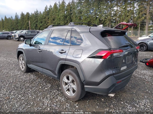 Toyota Rav4 Xle 2023 2T3P1RFV6PC385476 Image 3