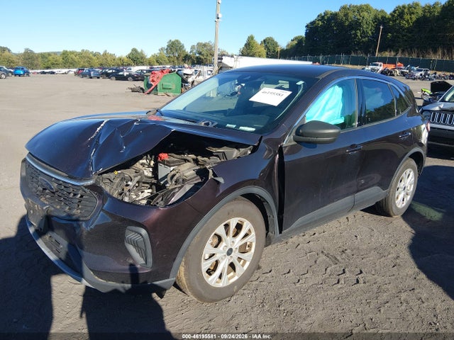 Продаж на аукціоні авто 2023 Ford Escape Active, vin: 1FMCU0GN3PUA94876, номер лоту: 46195581