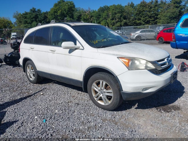 Auction sale of the 2010 Honda Cr-v Ex-l, vin: JHLRE4H74AC010082, lot number: 46195845