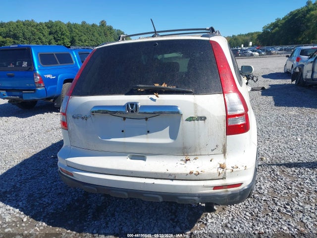 Продаж на аукціоні авто 2010 Honda Cr-v Ex-l, vin: JHLRE4H74AC010082, номер лоту: 46195845