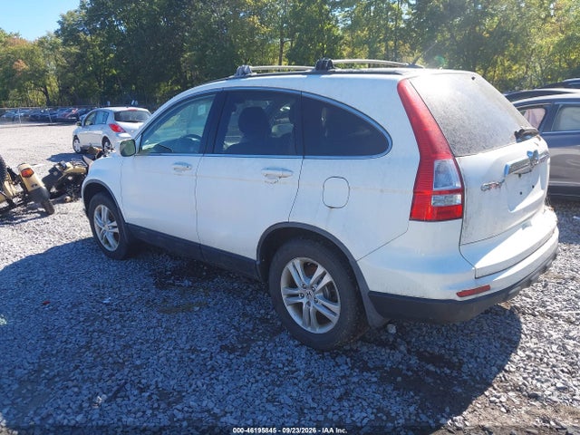 Продаж на аукціоні авто 2010 Honda Cr-v Ex-l, vin: JHLRE4H74AC010082, номер лоту: 46195845