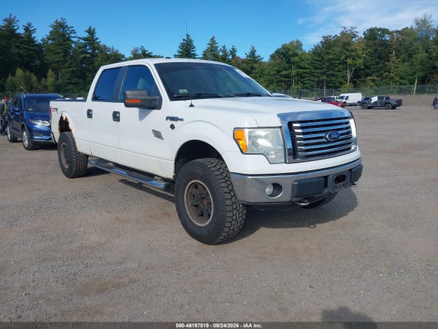 46197519 :رقم المزاد ، 1FTFW1EV6AFB32004 vin ، 2010 Ford F-150 Fx4/harley-davidson/king Ranch/lariat/platinum/xl/xlt مزاد بيع