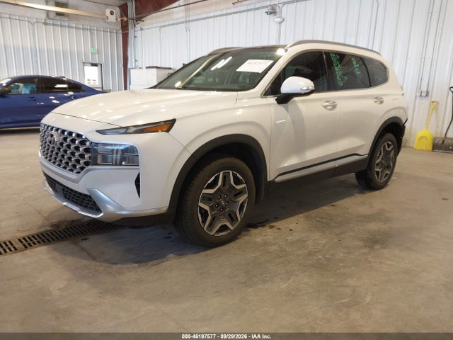 2022 Hyundai Santa Fe Hybrid Sel Premium მანქანა იყიდება აუქციონზე, vin: KM8S3DA11NU014256, აუქციონის ნომერი: 46197577