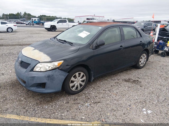 46197898 :رقم المزاد ، JTDBU4EE9AJ087188 vin ، 2010 Toyota Corolla Le مزاد بيع
