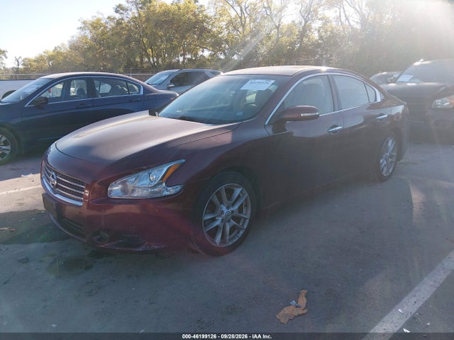 Продажа на аукционе авто 2010 Nissan Maxima 3.5 Sv, vin: 1N4AA5AP1AC814545, номер лота: 46199126