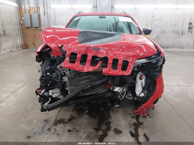 Продажа на аукционе авто 2019 Jeep Cherokee Trailhawk 4x4, vin: 1C4PJMBX2KD168411, номер лота: 46199675