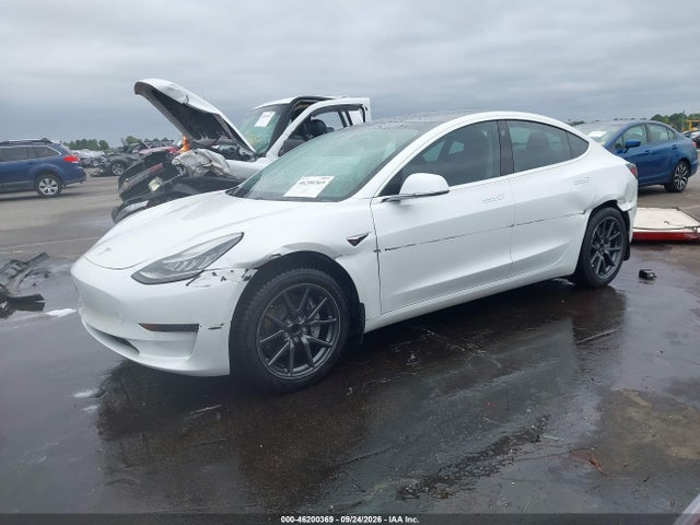 Auction sale of the 2019 Tesla Model 3 Long Range/mid Range/standard Range/standard Range Plus, vin: 5YJ3E1EA6KF483438, lot number: 46200369
