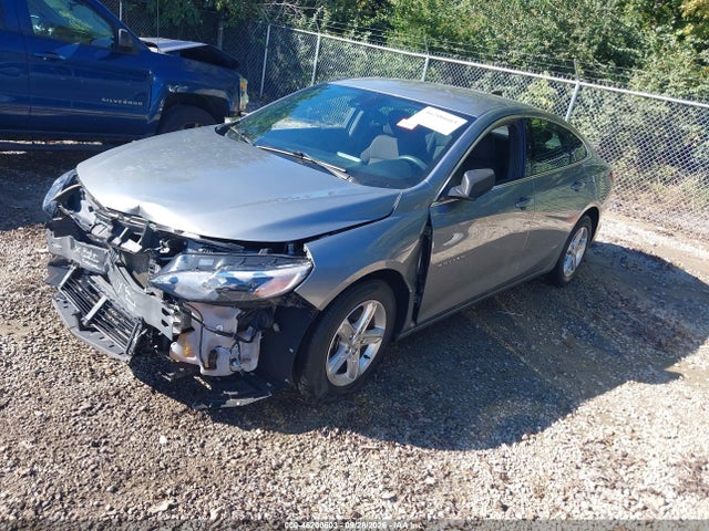 Aukcja sprzedaży 2023 Chevrolet Malibu Fwd Ls, vin: 1G1ZB5ST0PF181459, numer aukcji: 46200603