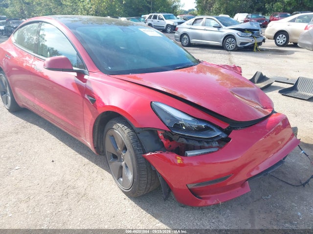 Tesla Model 3 Rear-wheel Drive 2023 5YJ3E1EA3PF438092 главное изображение