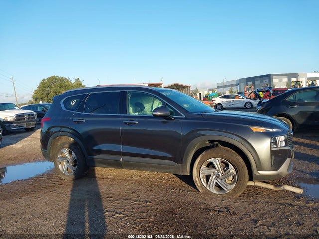 Продажа на аукционе авто 2023 Hyundai Santa Fe Sel, vin: 5NMS2DAJ6PH495476, номер лота: 46202103