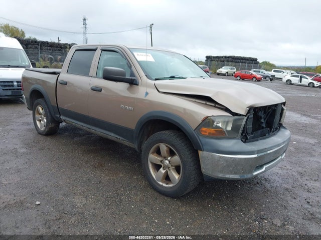 Aukcja sprzedaży 2010 Dodge Ram 1500 St, vin: 1D7RV1CP1AS151710, numer aukcji: 46202281