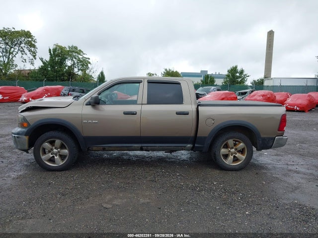 Aukcja sprzedaży 2010 Dodge Ram 1500 St, vin: 1D7RV1CP1AS151710, numer aukcji: 46202281
