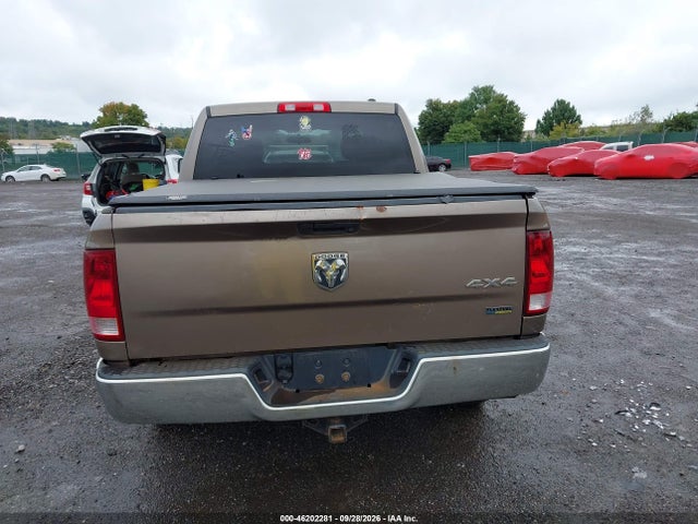Aukcja sprzedaży 2010 Dodge Ram 1500 St, vin: 1D7RV1CP1AS151710, numer aukcji: 46202281
