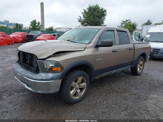 Aukcja sprzedaży 2010 Dodge Ram 1500 St, vin: 1D7RV1CP1AS151710, numer aukcji: 46202281