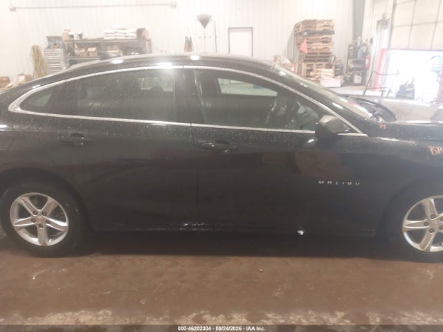 46202304 :رقم المزاد ، 1G1ZB5ST0PF248920 vin ، 2023 Chevrolet Malibu Fwd Ls مزاد بيع