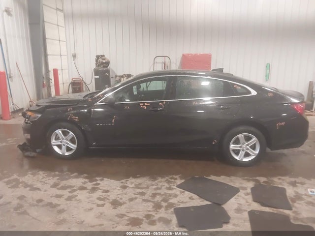 46202304 :رقم المزاد ، 1G1ZB5ST0PF248920 vin ، 2023 Chevrolet Malibu Fwd Ls مزاد بيع